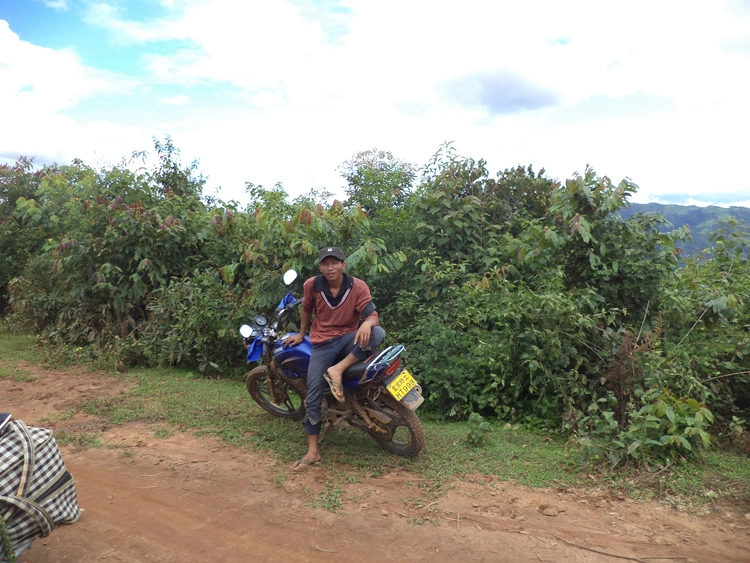 lat rim: duai: muak see aak